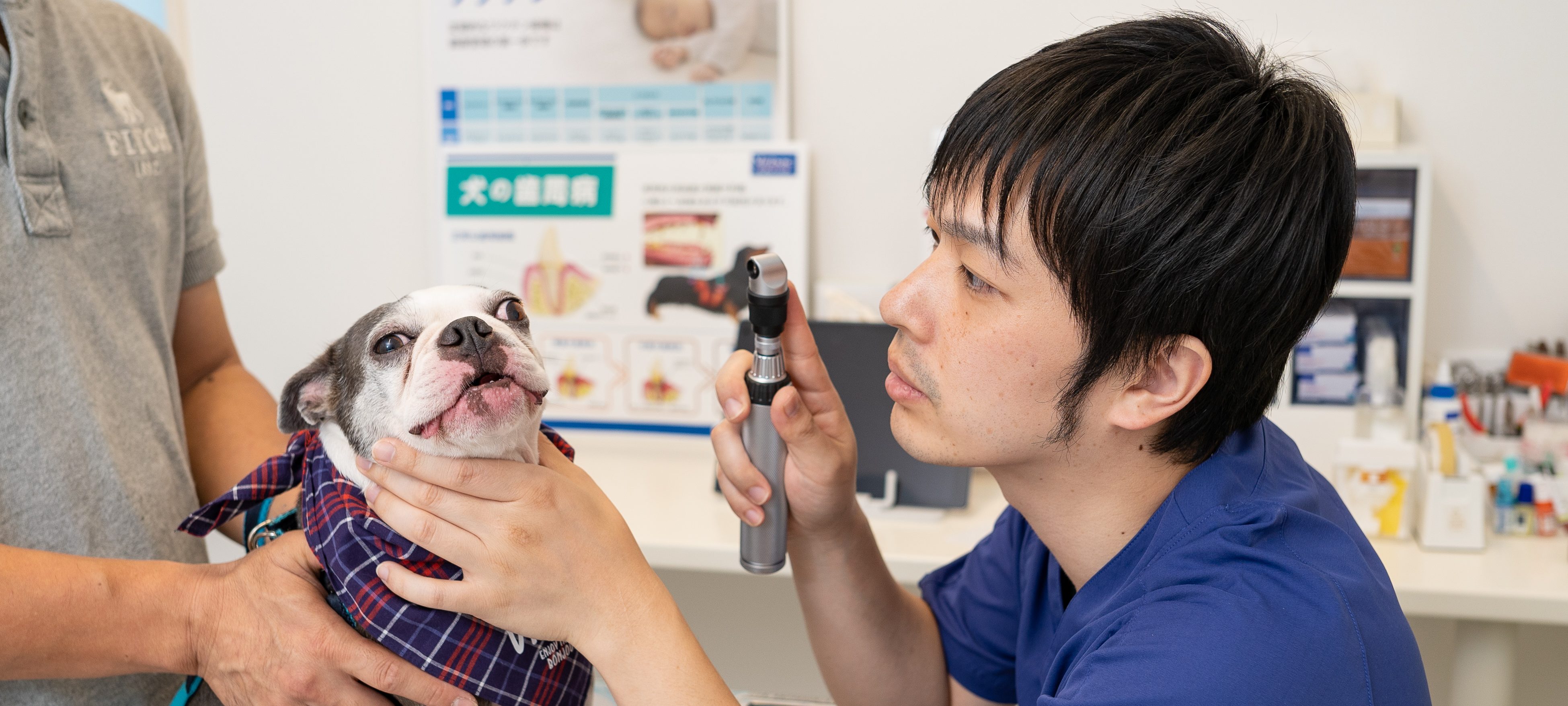 くさか動物病院様の写真 宮城県富谷市で動物病院の出張写真撮影