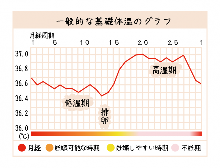 基礎体温｜盛岡市の産科婦人科吉田医院